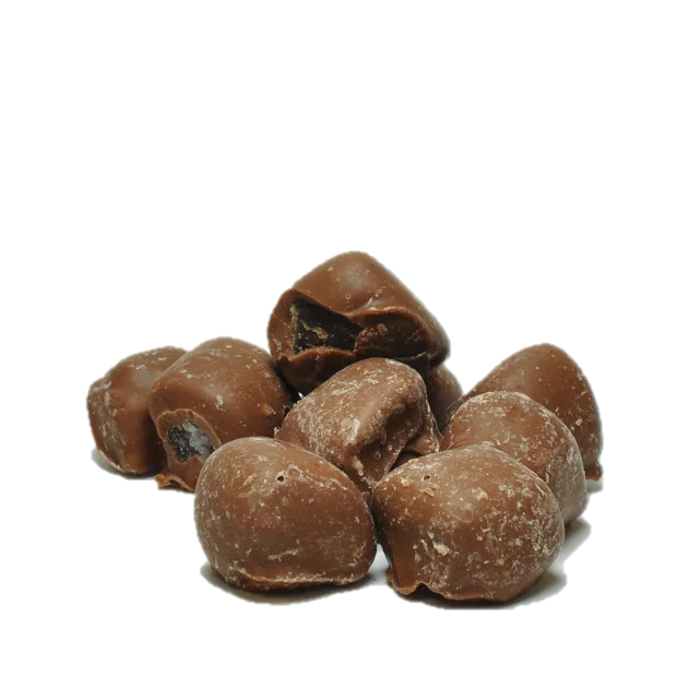 GEMBER CHOCOLADE PUUR
